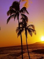 Hawaii Sunset 
